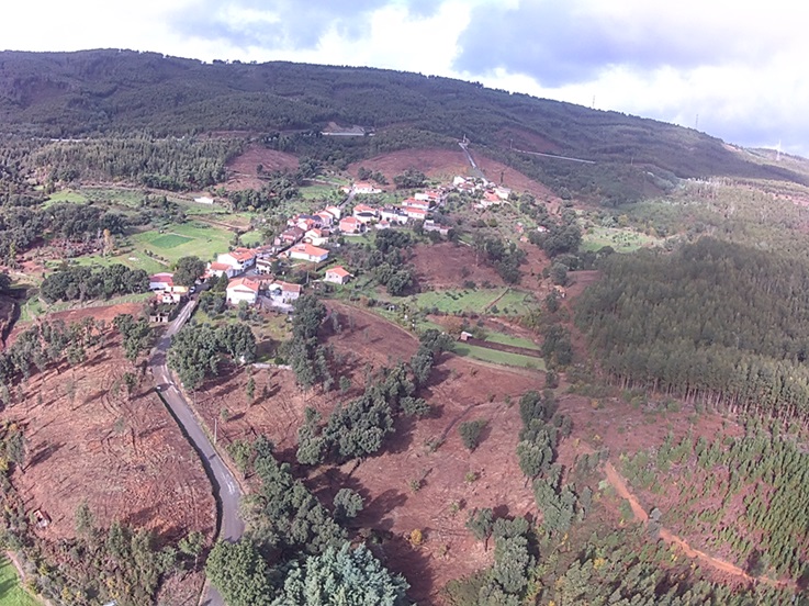 Pedrógão Grande: Pela proteção da floresta e da comunidade